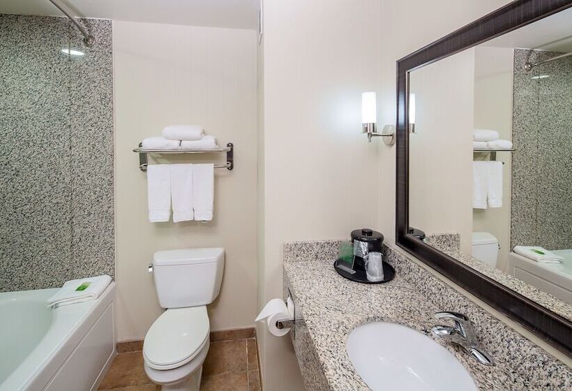 חדר סטנדרט, Holiday Inn Express Augusta North, An Ihg