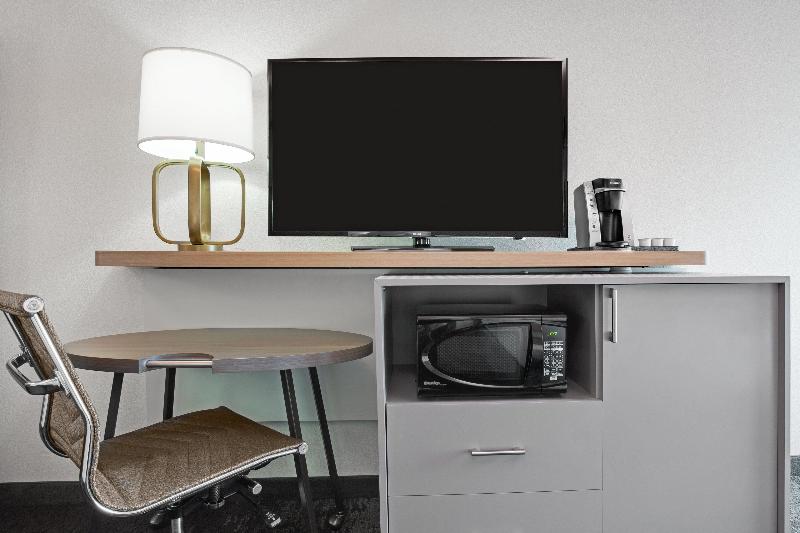 Номер Стандарт Кровать Кинг Адаптированный для Инвалидов, Holiday Inn Roanoke Airport   Conference Ctr, An Ihg