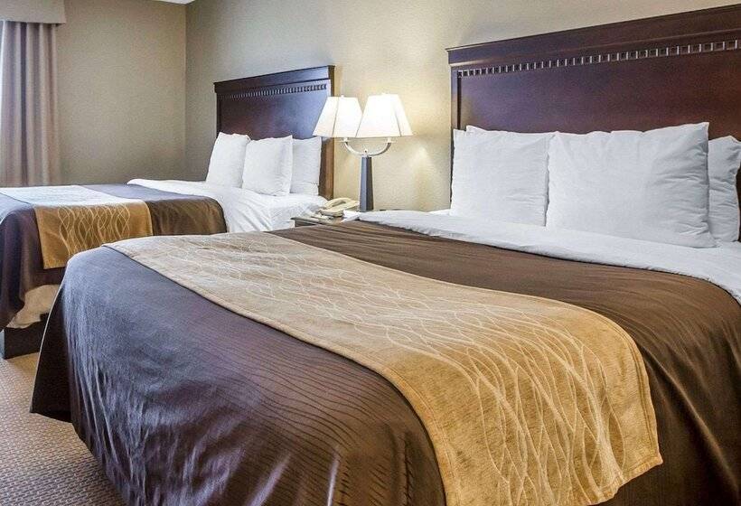 스위트, Comfort Inn & Suites Near Tinley Park Amphitheater