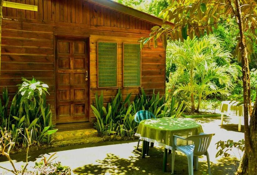 استودیو استاندارد با چشم‌انداز باغ, Lighthouse Inn 2