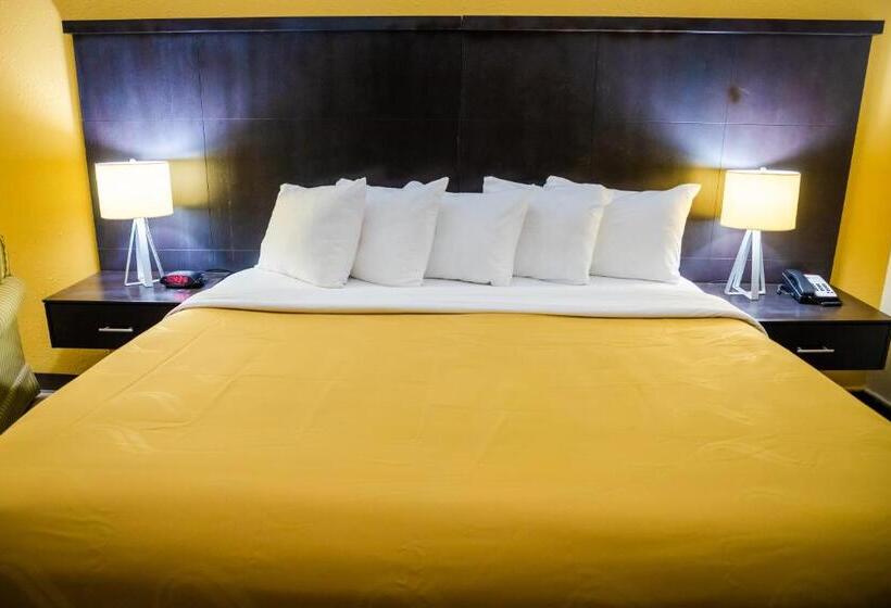 스탠다드 룸 킹사이즈 침대, Quality Inn Richmond Hill  Savannah I95