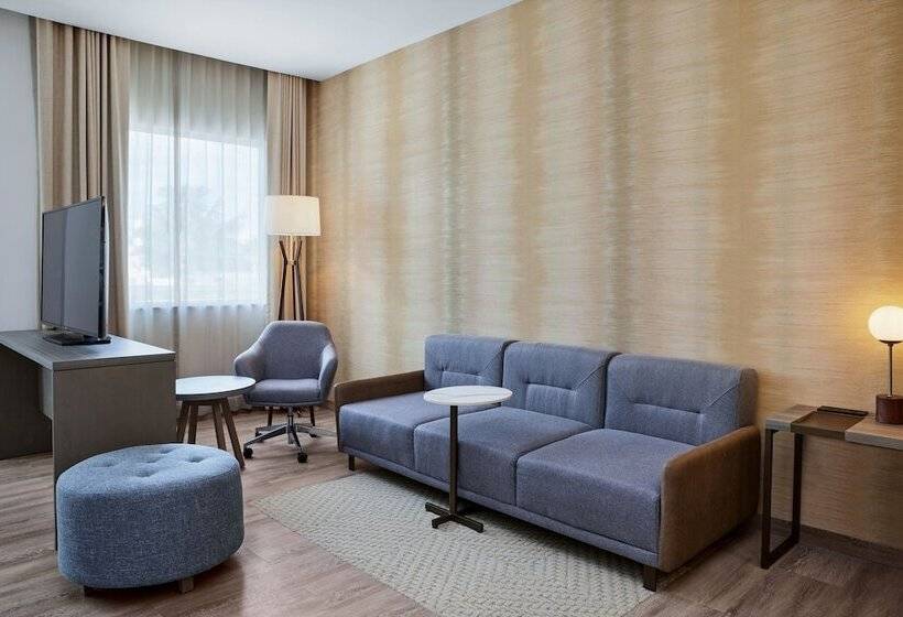 سوئیت 2 خوابه, Residence Inn By Marriott Playa Del Carmen