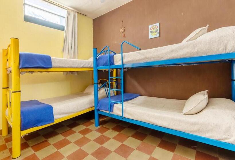 공동 객실, Puerta Azul Hostel
