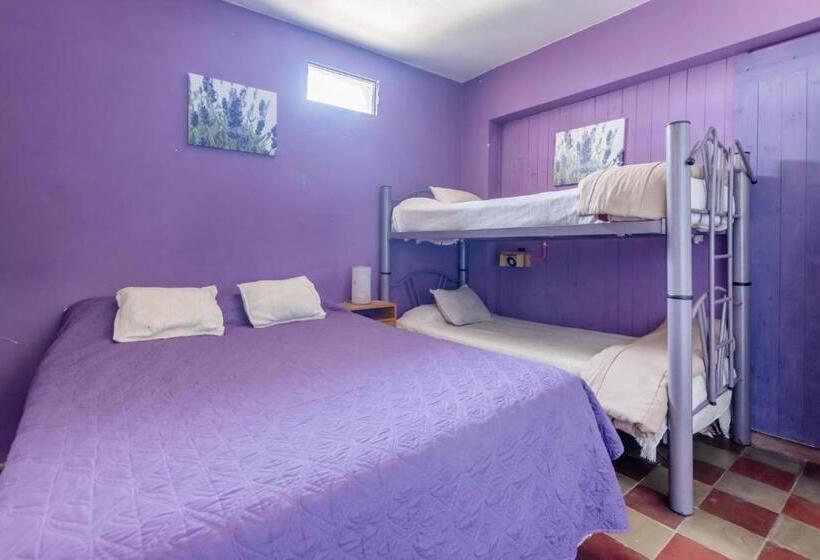 4인용 스탠다드 룸, Puerta Azul Hostel
