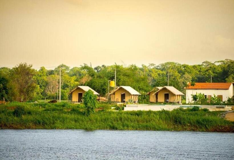Standard Tent, Starling River Resort Dandeli