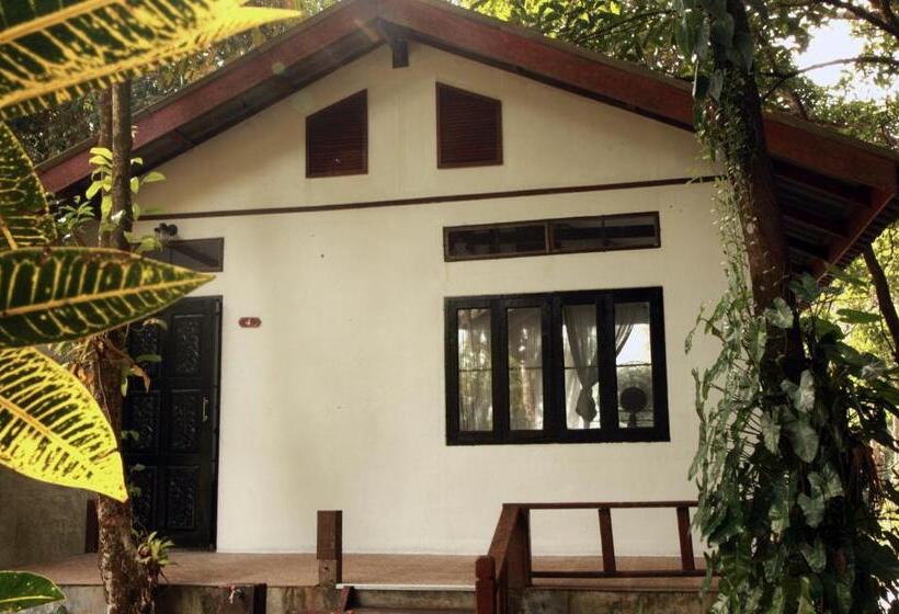 بانگلوی لوکس, Barefoot Project Formerly Baan Klong Kleng