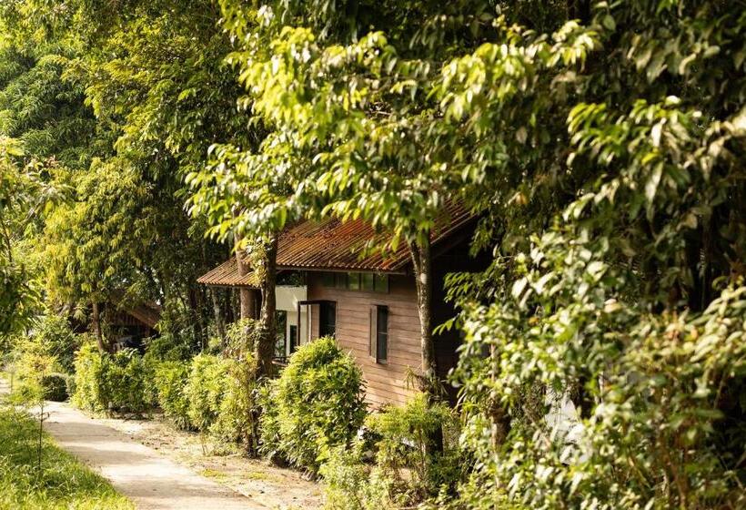 بانگلوی سوپریور, Barefoot Project Formerly Baan Klong Kleng