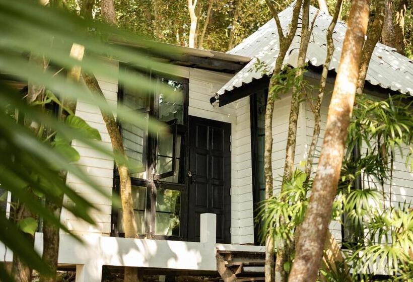 اتاق سوپریور, Barefoot Project Formerly Baan Klong Kleng