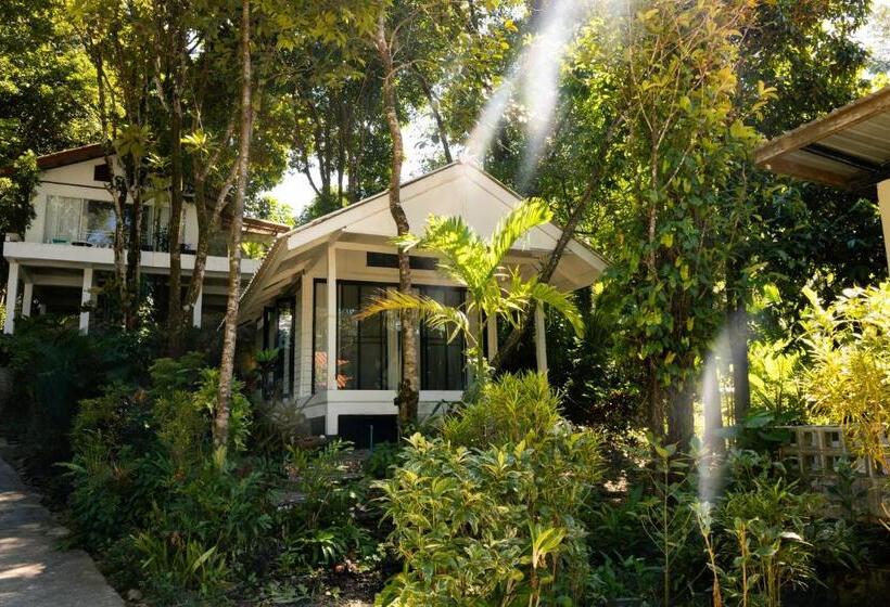 اتاق لوکس, Barefoot Project Formerly Baan Klong Kleng