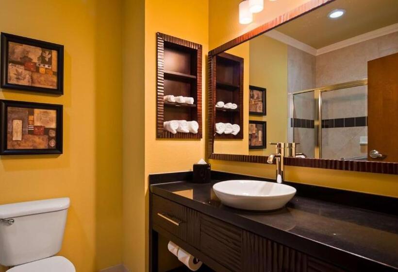 Номер Стандарт, Best Western Plus Christopher Inn And Suites
