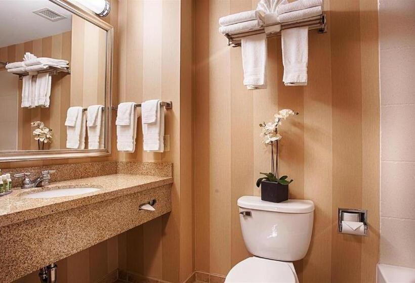 Стандартный Номер Кровать Кинг, Best Western Plus University Park Inn & Suites