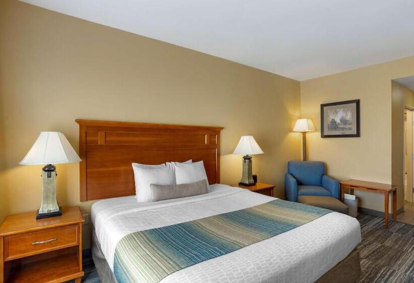 Стандартный Номер Кровать Кинг, Best Western Plus University Park Inn & Suites