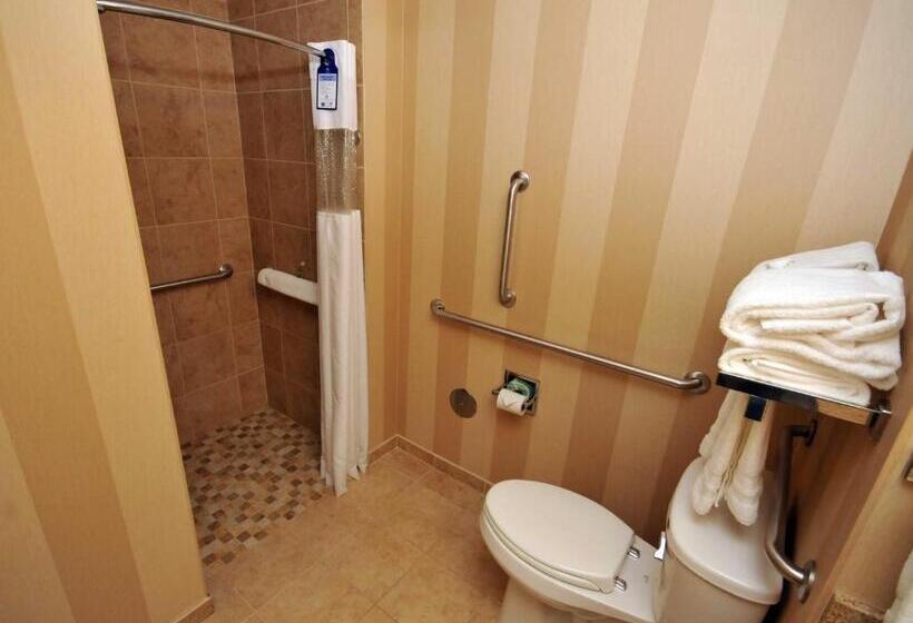 Номер Стандарт Кровать Кинг Адаптированный для Инвалидов, Best Western Plus University Park Inn & Suites