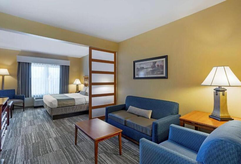 Люкс Кровать Кинг, Best Western Plus University Park Inn & Suites