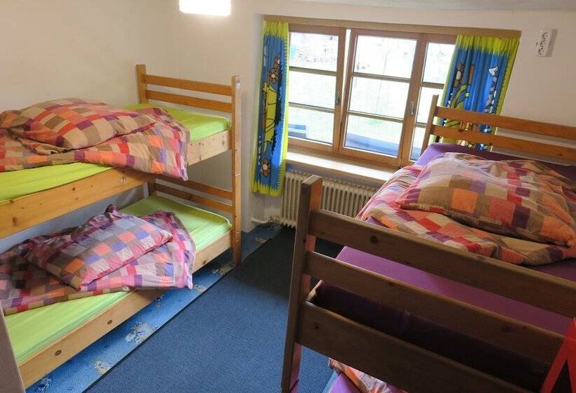 تختخواب در اتاق مشترک, Snowbunnys Backpackers Hostel
