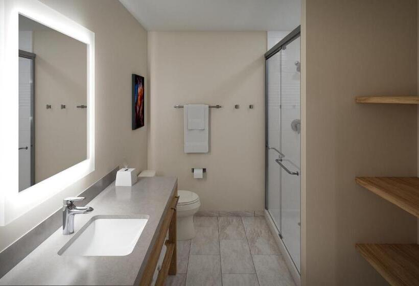 带大床的套房, Candlewood Suites   Columbia, An Ihg