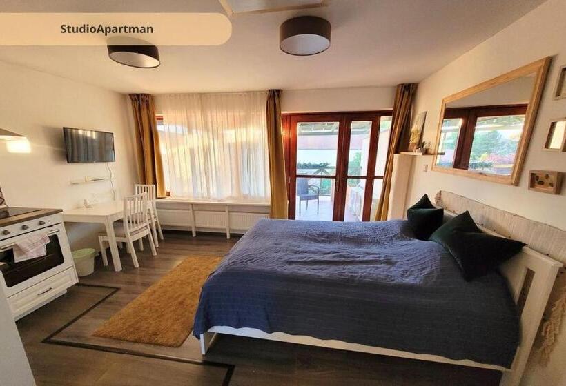 Студия Стандарт, Tulip Home Guest House