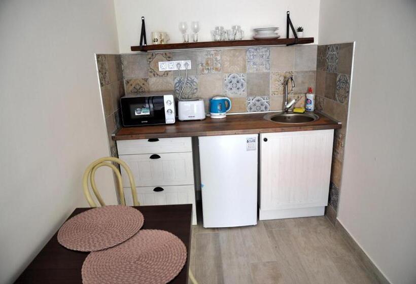 اتاق استاندارد با تخت بزرگ, River Apartment