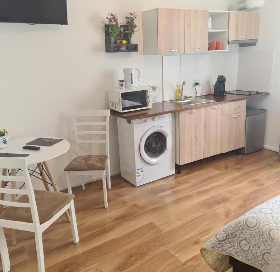 اتاق استاندارد, Luca S Studio 2 ,close To Therme Bucharest, Airport Otopeni