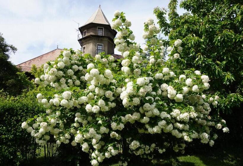 اتاق استاندارد با بالکن, Château Du Vigny   Maison D Hôtes