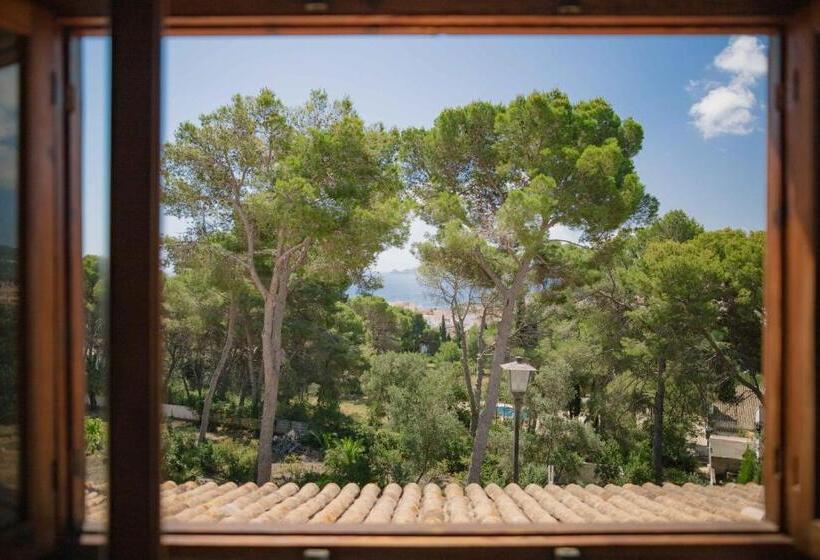 اتاق سوپریور با چشم‌انداز دریا, Villa Dora