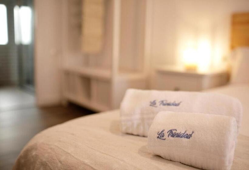 اتاق سوپریور با تخت بزرگ, La Trinidad Córdoba   Great Location