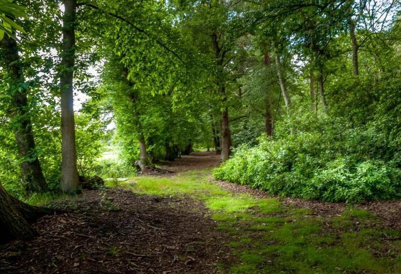 آپارتمان 1 خوابه با چشم‌انداز استخر, Whitmoor Farm