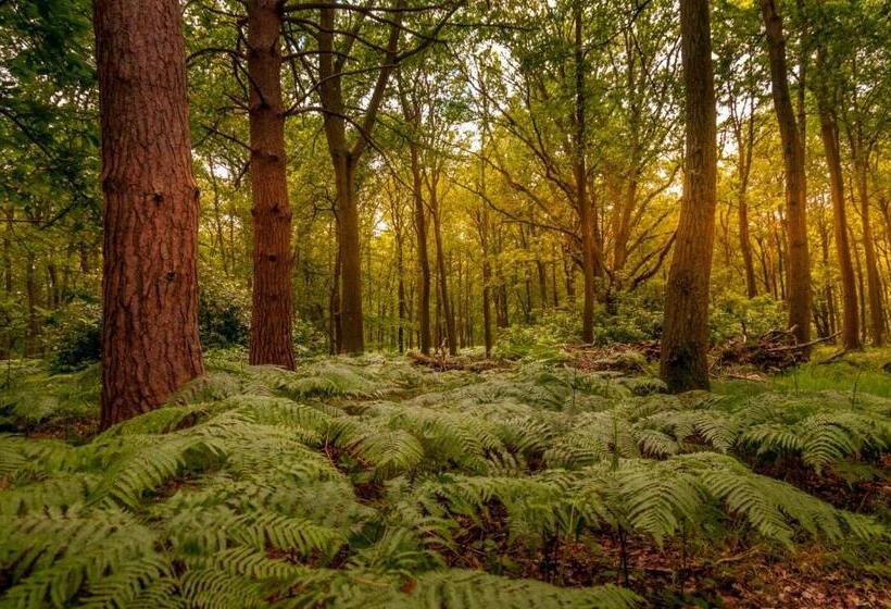 آپارتمان 1 خوابه با چشم‌انداز استخر, Whitmoor Farm