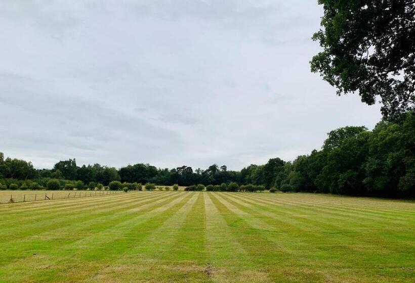 آپارتمان 1 خوابه با چشم‌انداز استخر, Whitmoor Farm