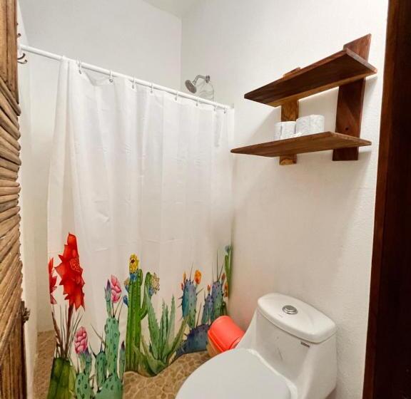 استودیوی استاندارد, Casa Kokoná