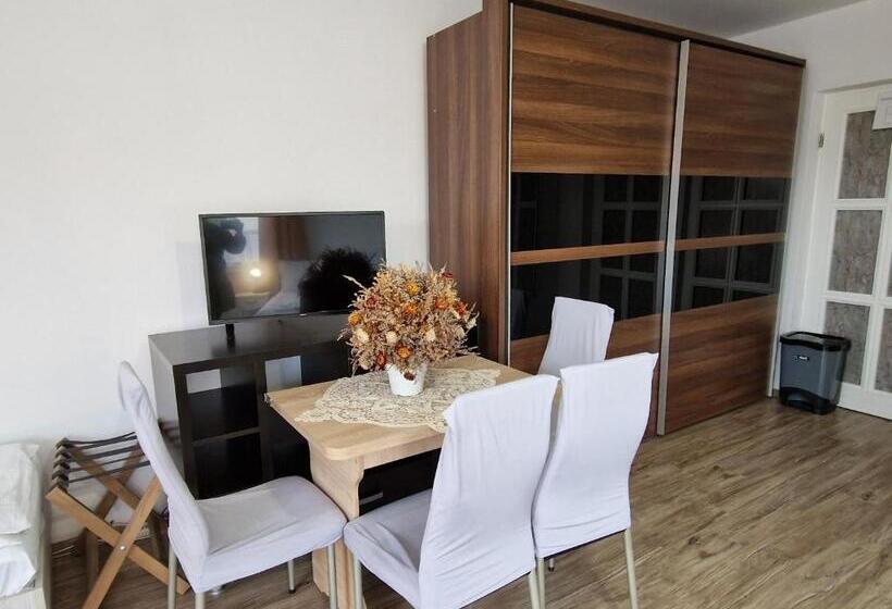 Economy Quadruple Room, Sepsi Relax