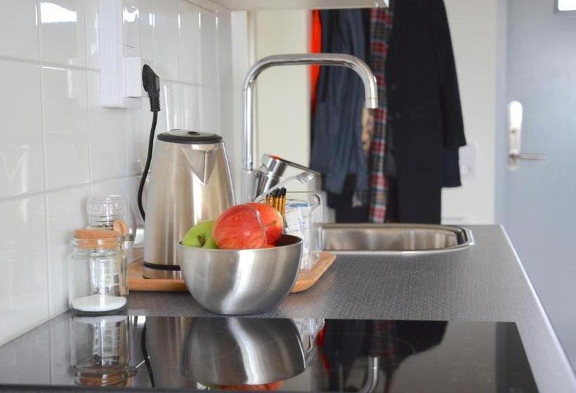 Люкс, Forskarhotellet