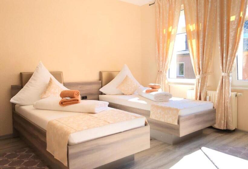 Номер Стандарт Совместная Ванная, Pension Goldenes Vogtland