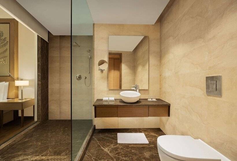 Номер Superior, Radisson Blu Hotel New Delhi Dwarka