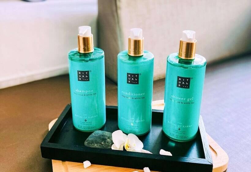 Номер Executive, Novotel Spa Rennes Centre Gare