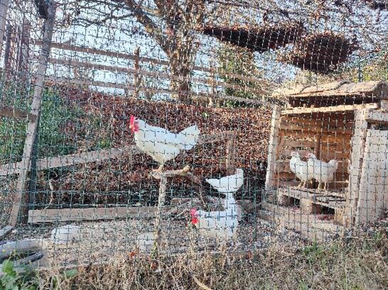 标准间, Monfrà   Ospitalità Rurale, Vigneti E Cantina