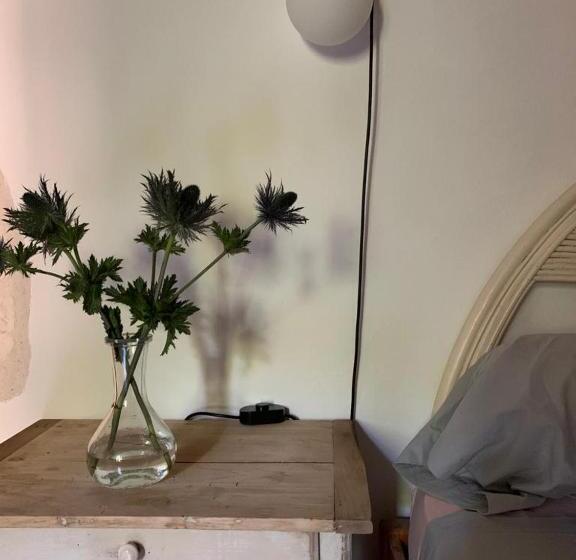 اتاق استاندارد با تخت بزرگ, Le Patio D Arles