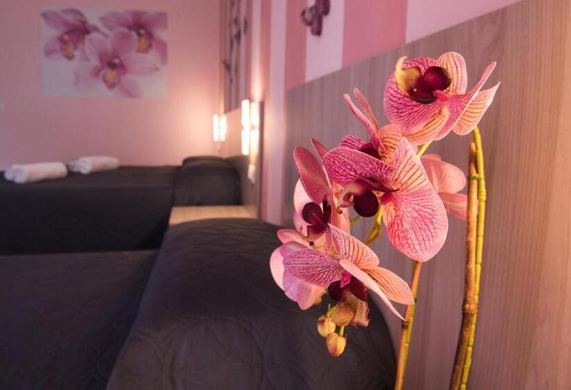 スタンダードルーム, B&b Il Giardino Dei Sogni
