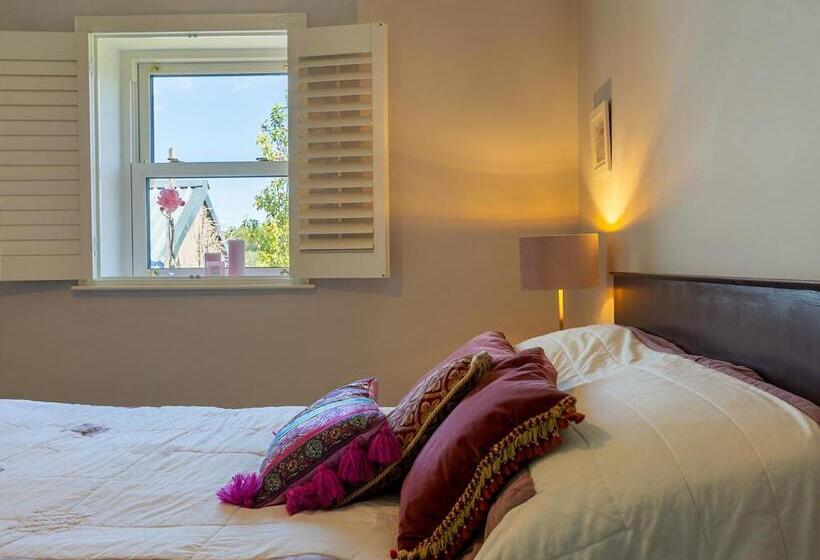 اتاق استاندارد, Coolcormack Stud B&b