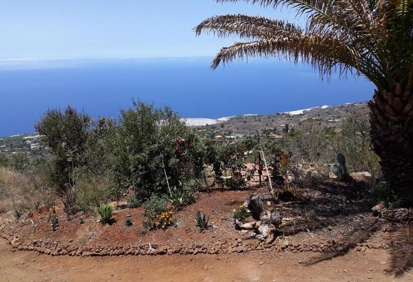 بانگلوی لوکس, Abracaribes