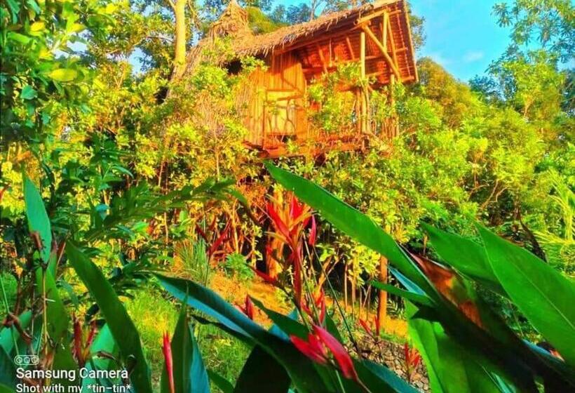 اتاق استاندارد با چشم‌انداز دریا, Sanctuaria Treehouses Busuanga