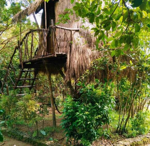 اتاق استاندارد با چشم‌انداز دریا, Sanctuaria Treehouses Busuanga