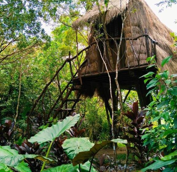 اتاق استاندارد با چشم‌انداز دریا, Sanctuaria Treehouses Busuanga