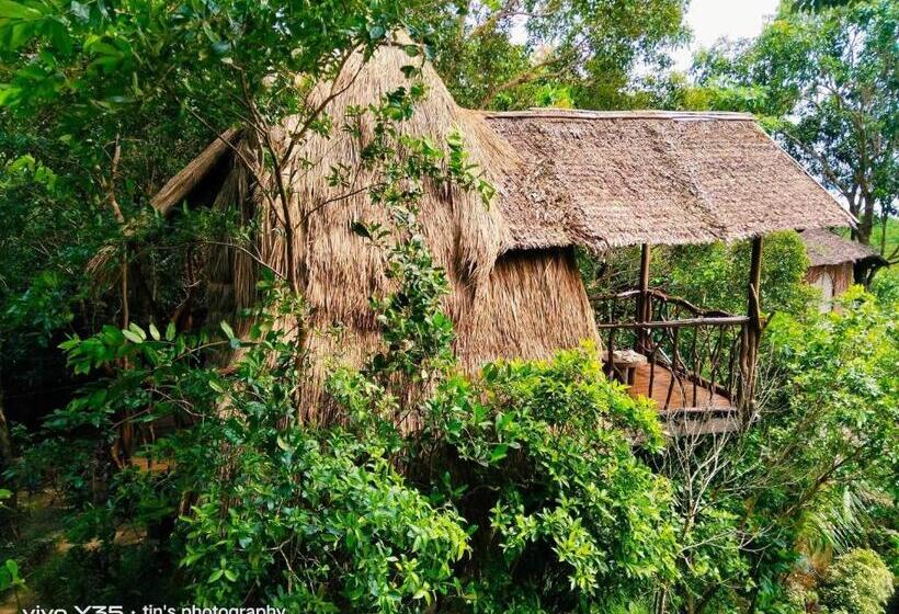 اتاق استاندارد با چشم‌انداز دریا, Sanctuaria Treehouses Busuanga
