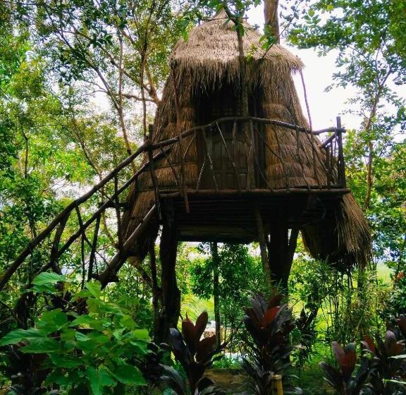 اتاق استاندارد با چشم‌انداز دریا, Sanctuaria Treehouses Busuanga