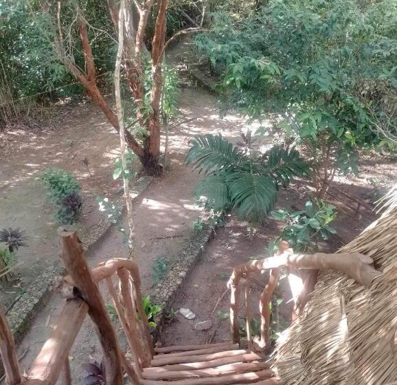 اتاق استاندارد با چشم‌انداز دریا, Sanctuaria Treehouses Busuanga
