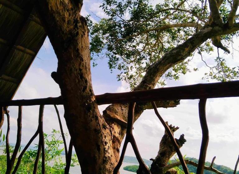 اتاق استاندارد با بالکن و چشم‌انداز دریا, Sanctuaria Treehouses Busuanga