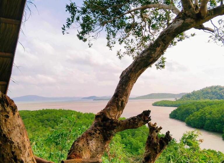 اتاق استاندارد با بالکن و چشم‌انداز دریا, Sanctuaria Treehouses Busuanga