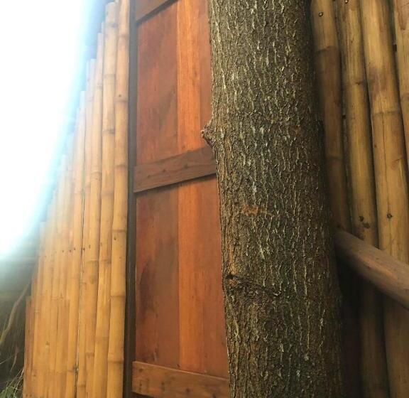 اتاق استاندارد با بالکن و چشم‌انداز دریا, Sanctuaria Treehouses Busuanga