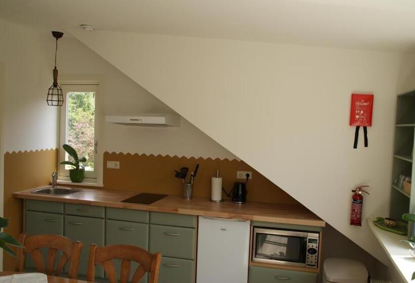 Апартаменты 1 Спальня Вид на Сад, Vakantieboerderij  T Zand   Appartement